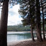 乐玩体育在线网站:畅享多元化体育赛事直播与互动体验 ftvwzu