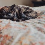 xingkong.com的独特魅力:连接你我,共享精彩 j536fnn9