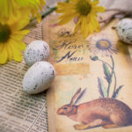 072期开奖结果公布,幸运号码震撼揭晓 5qk0apq6tq