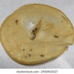 22选5开奖直播现场全程高清同步播出 7b7na