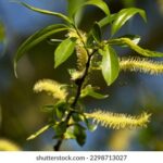 063足彩开奖结果今日揭晓,大奖花落谁家? 82g9jh6