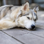 22选5开奖时间公布,今晚几点开奖揭晓? 8bc022