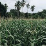 069期开奖号码正式公布,彩民们速来查看幸运数字 9gad9j2