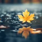 07021期大乐透开奖结果及详细号码分析 aqli24