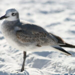 22彩票最新开奖结果今日已公布 kd887xj0