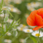 227开奖前夜与揭晓时刻全记录 lnmk6