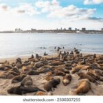 078开奖网最新开奖信息与结果查询 o0flk46z