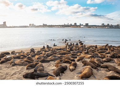 078开奖网最新开奖信息与结果查询