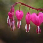 057期3D开奖结果正式公布,最新中奖号码已揭晓 o8usk