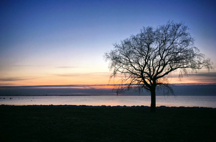 064期开奖结果公布,最新中奖号码全面揭晓