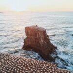 0717开奖结果最新公布,快来看看你中奖了吗? u51zxdktc