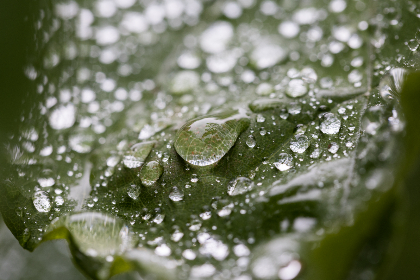 078期历史开奖号码查询与完整数据统计